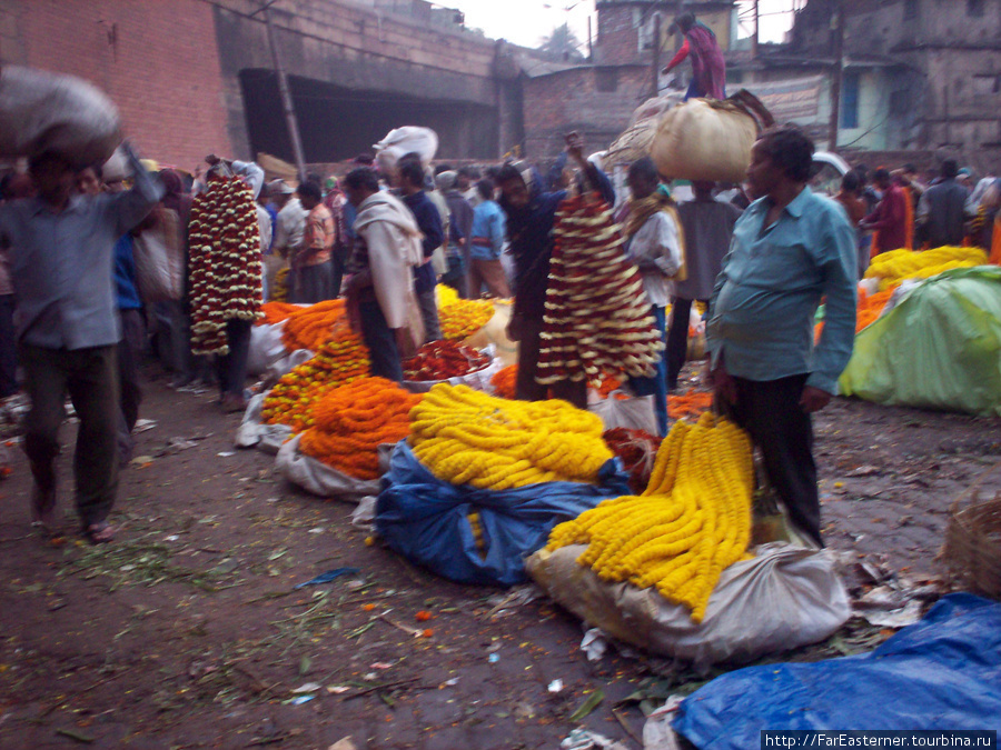 Цветочный рынок и мост Хаура (Рабиндра Сету) Калькутта, Индия