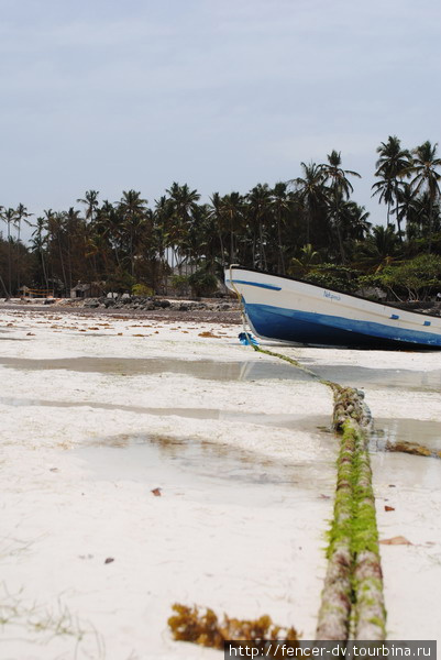 Остров брошенных кораблей Остров Занзибар, Танзания