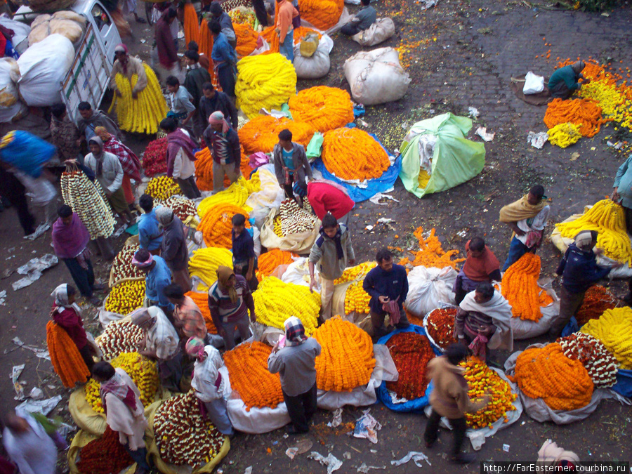 Цветочный базар под мостом Хаура Калькутта, Индия