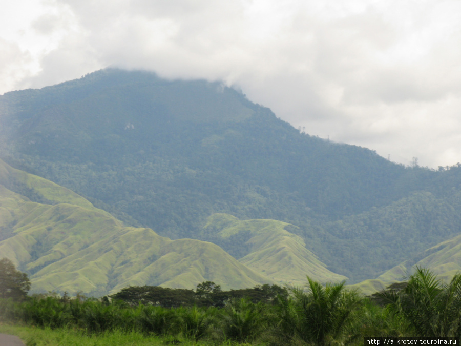 Дорога вверх -- на Гороку Кайнанту, Папуа-Новая Гвинея