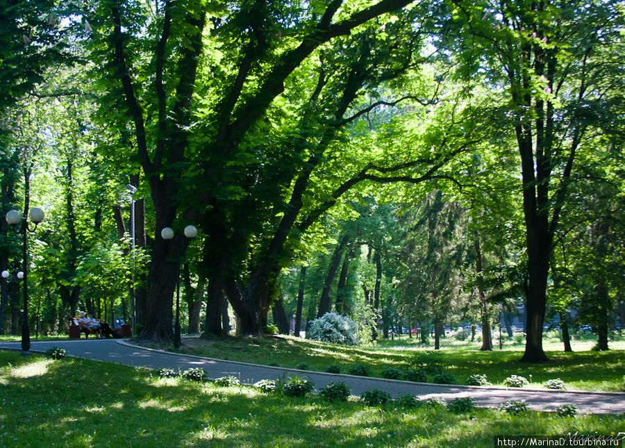 Мариинский и Городской парки Киев, Украина