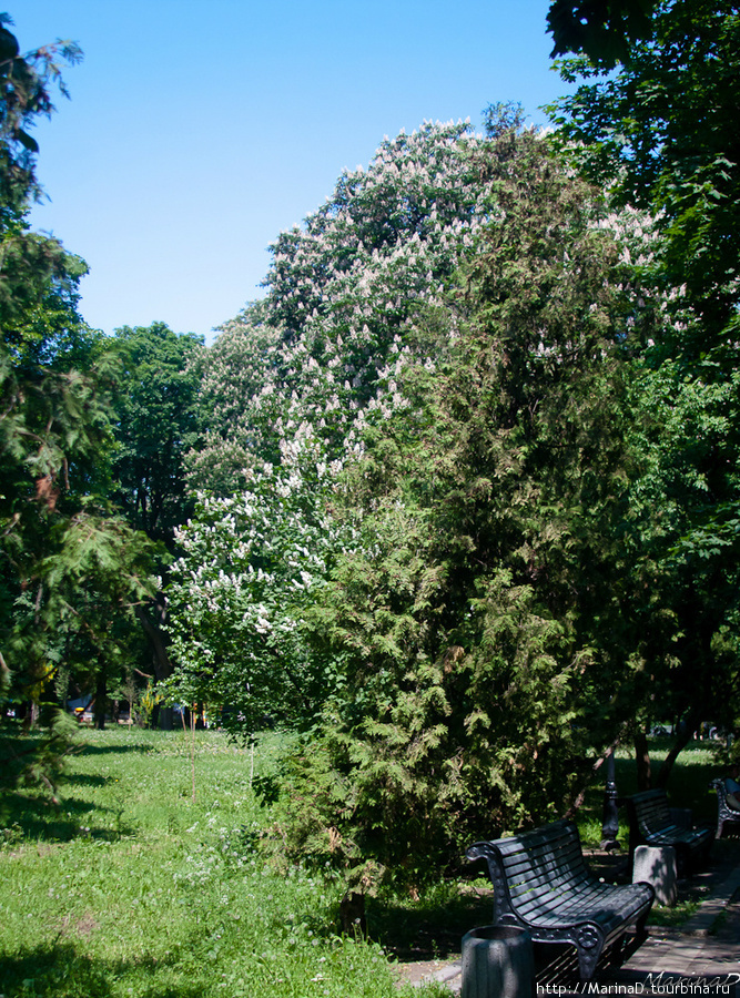Мариинский и Городской парки Киев, Украина