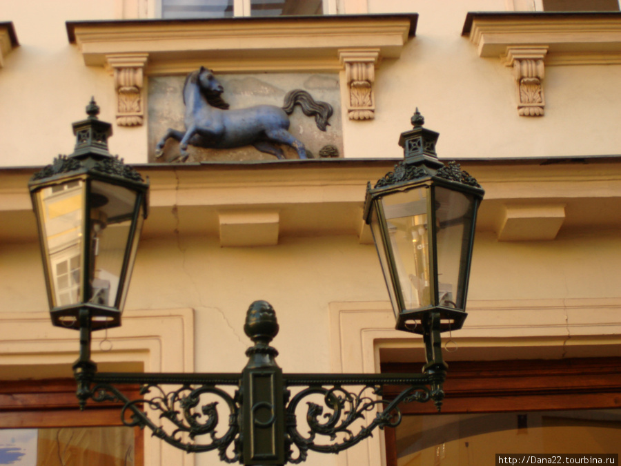 Синяя лошадь :) 2007г. Прага, Чехия