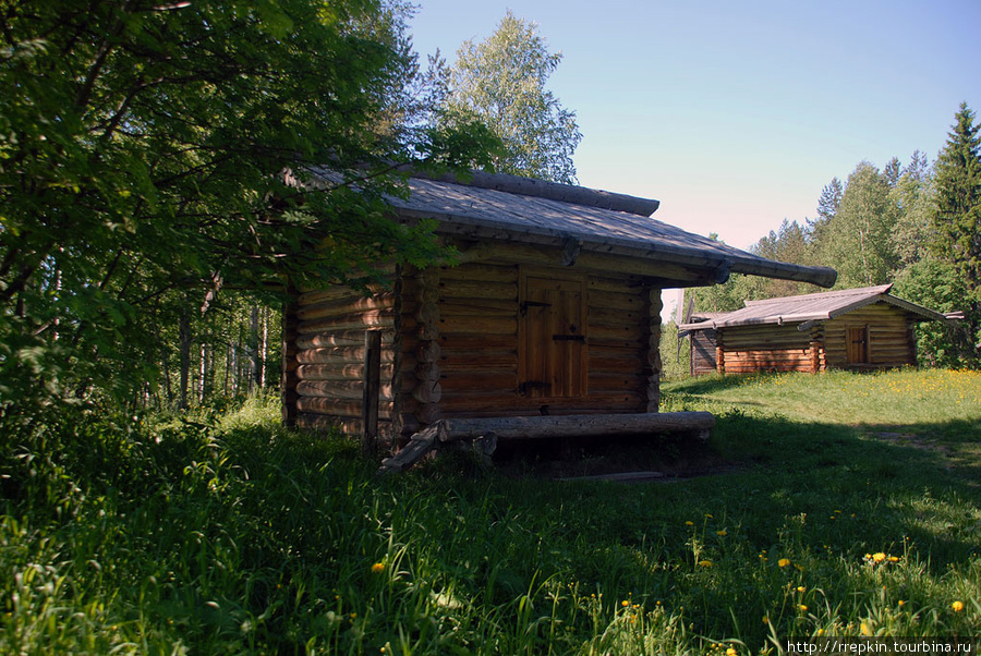 Малые карелы Корелы, Россия