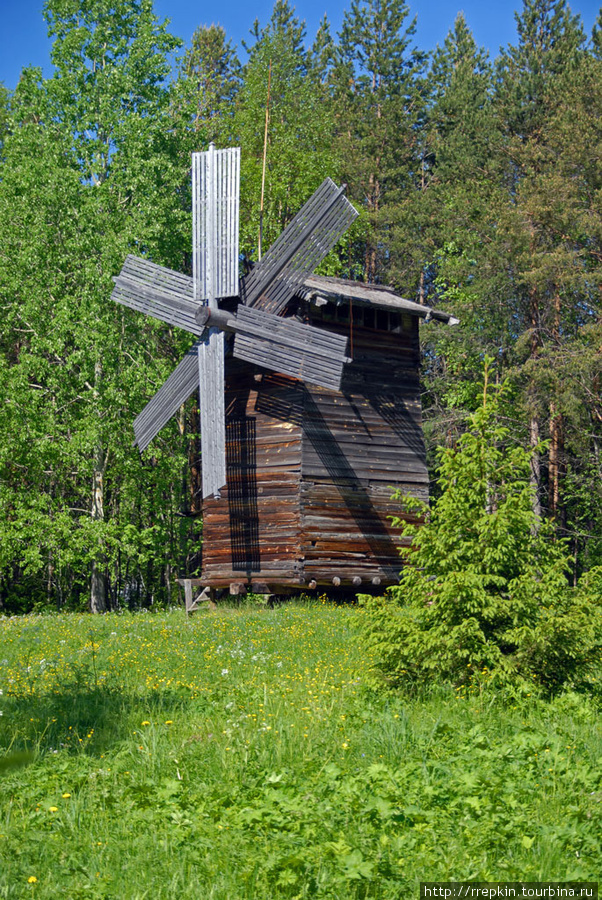 Малые карелы Корелы, Россия