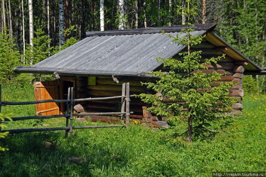 Малые карелы Корелы, Россия