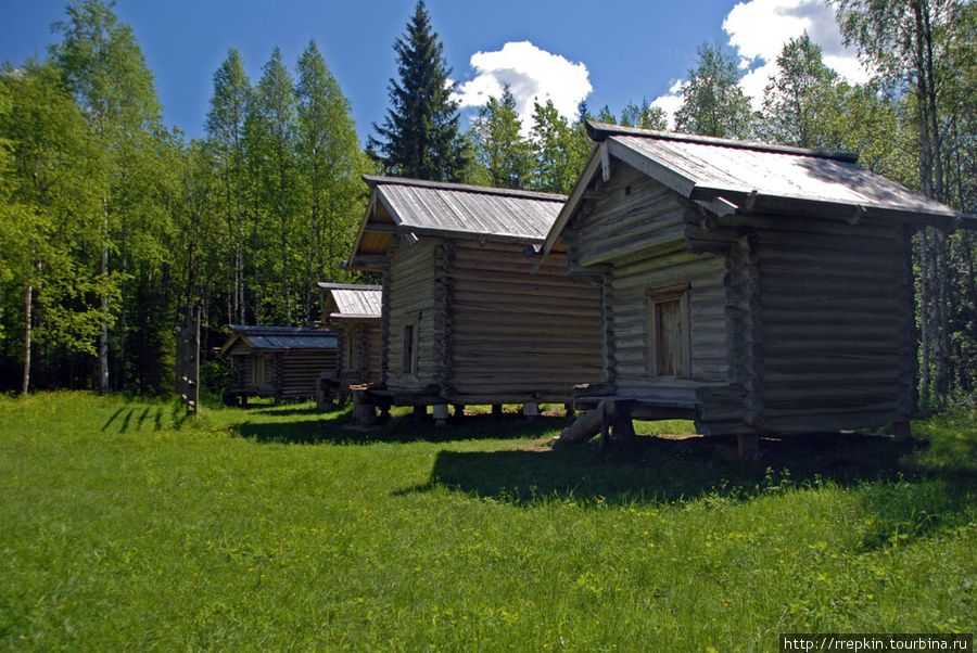 Малые карелы Корелы, Россия