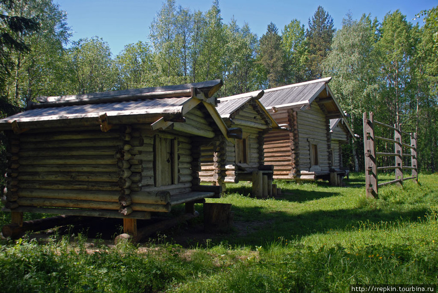 Малые карелы Корелы, Россия