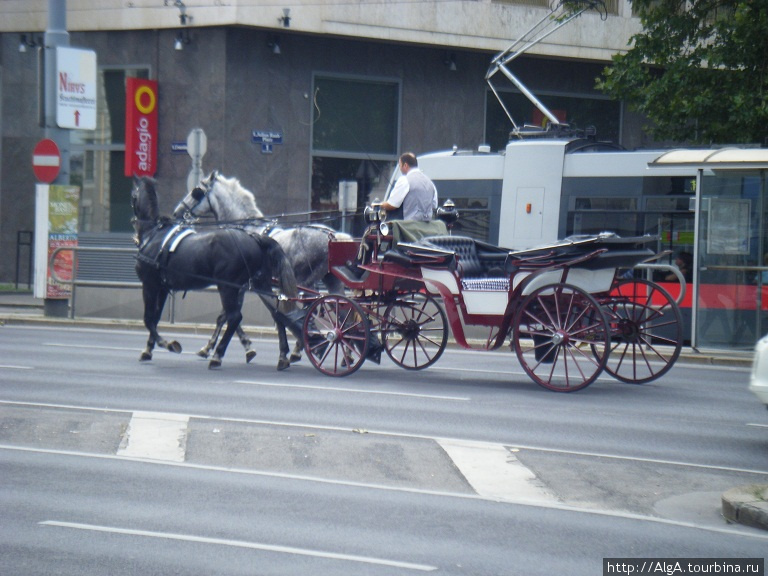 Венские зарисовки Вена, Австрия