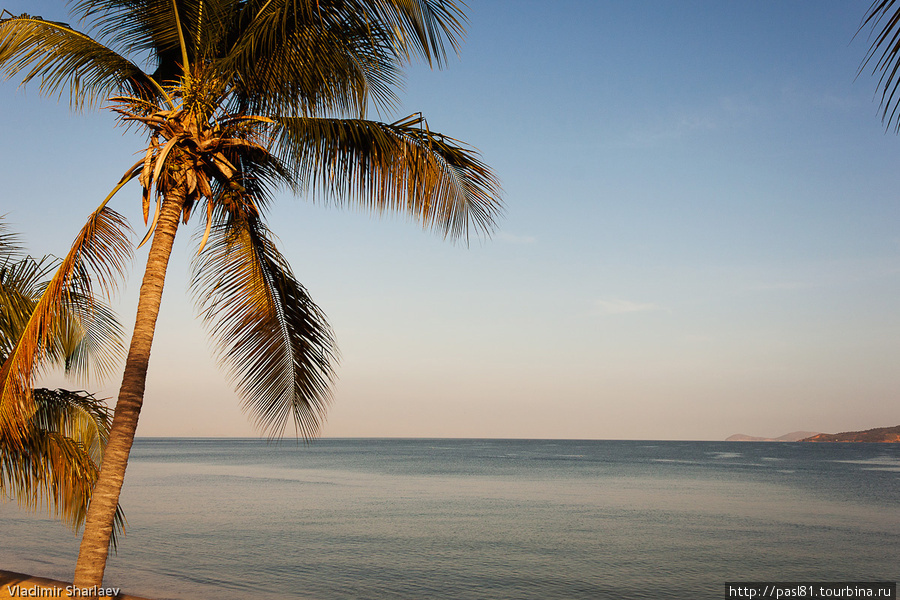 Для утомленных питерской зимой путешественников, Санта Фе представляется райским местечком. Присутствует и ласковый океан, и теплы песок, и даже кокосовая пальма в наличии! Кстати, на нее можно гамак повесить, если душа просит под небом звездным спать. Санта-Фе, Венесуэла