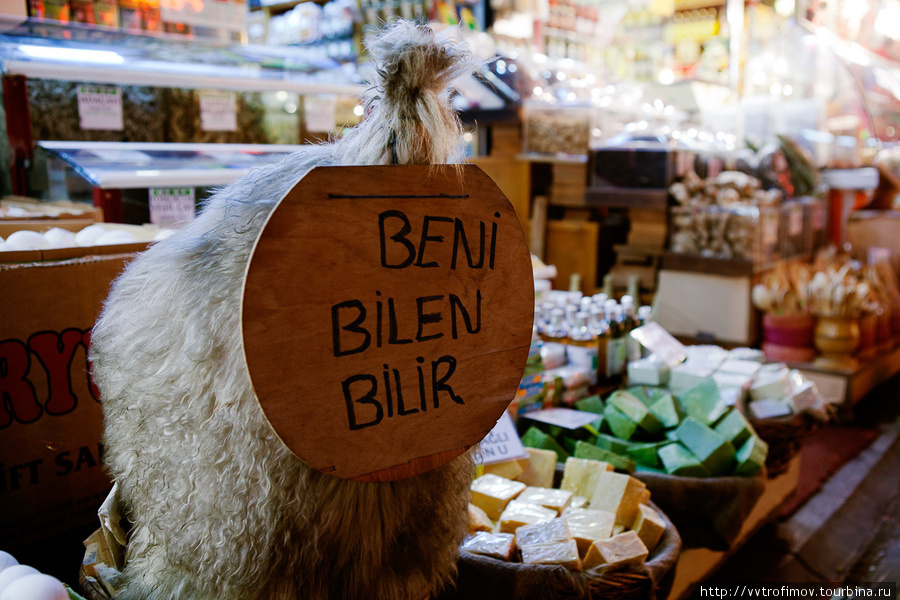 Турецкий сыр в бараньей шкуре Стамбул, Турция