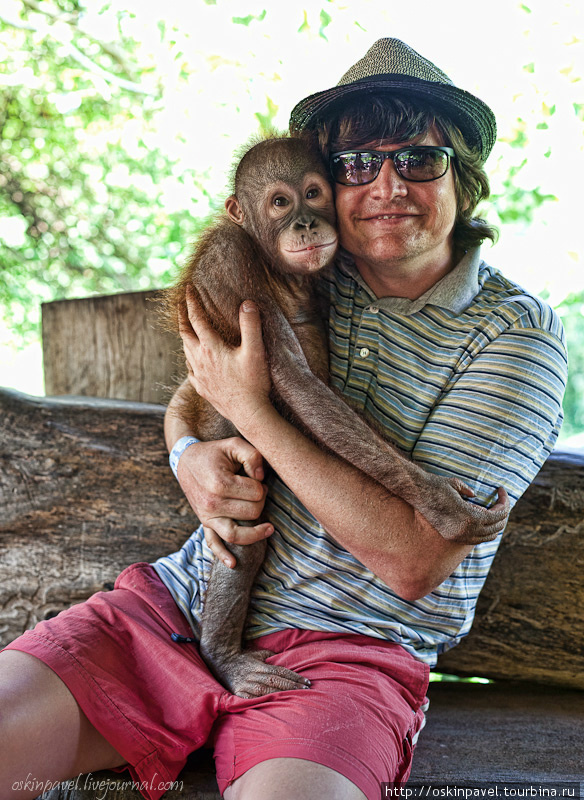 Человек произошел от обезьяны... с Божьей помощью! Бали, Индонезия