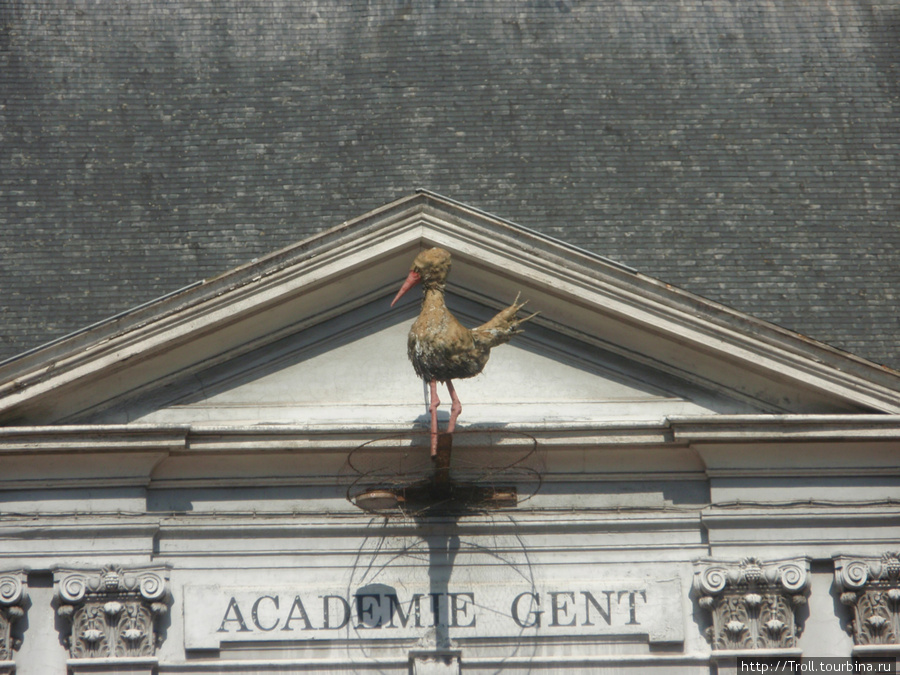 Что делает аист на фасаде университета, не допытался, но факт тот, что он там есть Гент, Бельгия