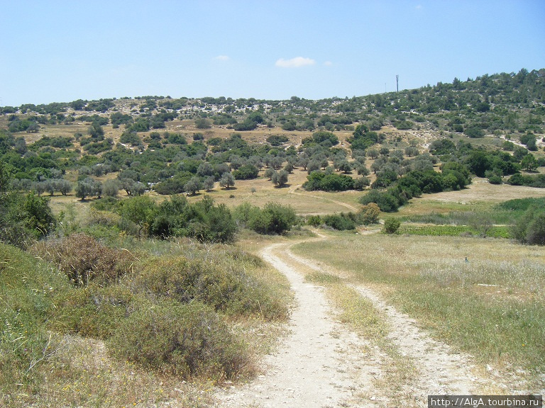 Дорога на Бейт Джамаль Бейт-Шемеш, Израиль