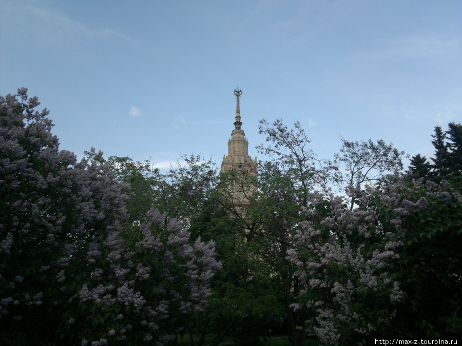 Исполин второй, трех буквенный: МГУ. Москва, Россия