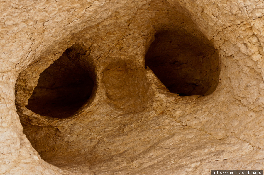 Негевский череп Мицпе-Рамон, Израиль