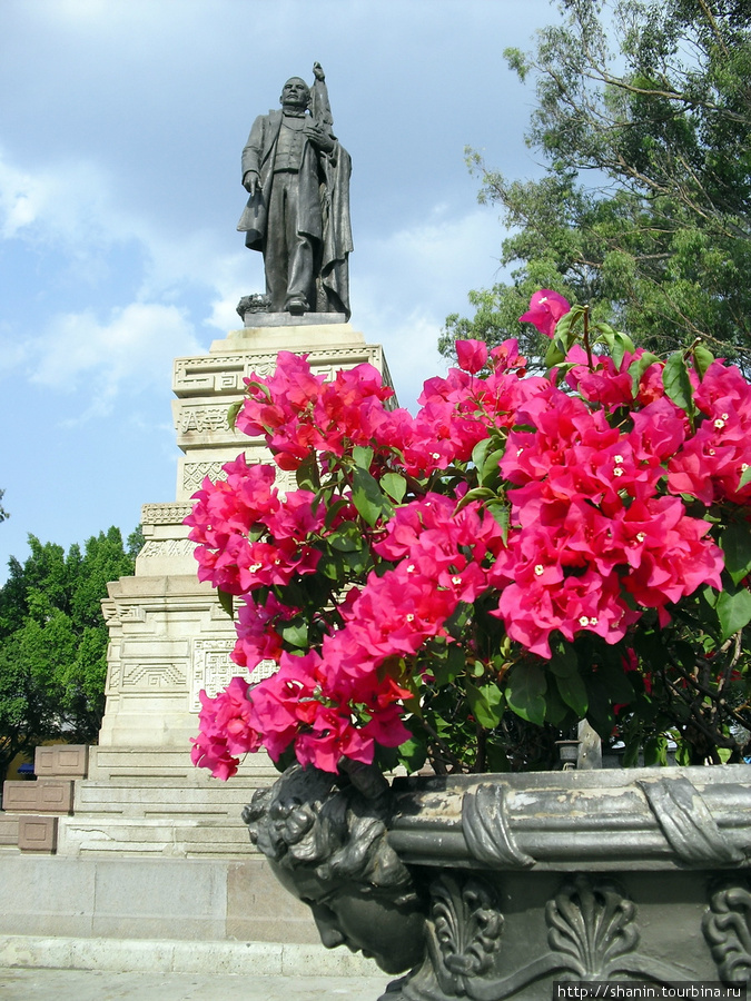 Цветы и памятник Оахака, Мексика