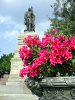 Цветы и памятник