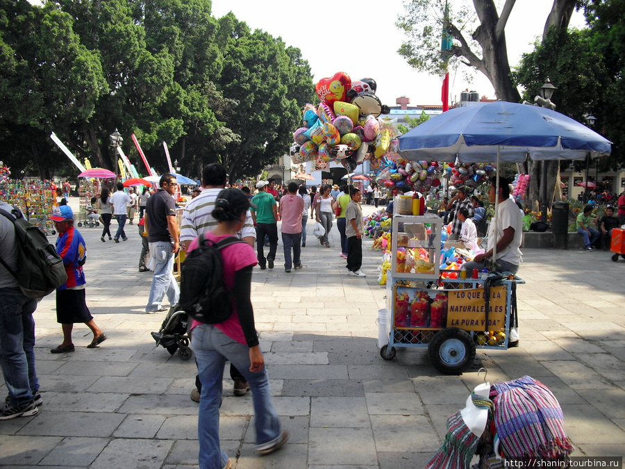 На площади Оахака, Мексика
