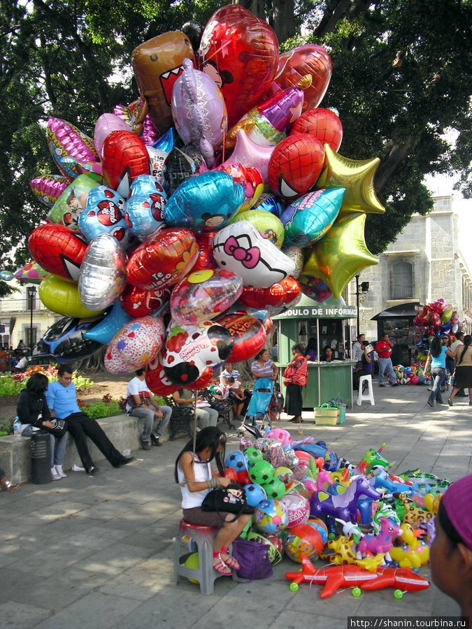 Продавец воздушные шары. Воздушные шары в парках. Продают шарики на улице. Торговля воздушными шарами. Шары в парке.