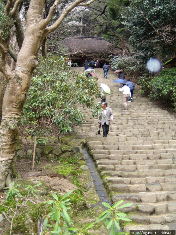 Храмовый комплекс Муродзи (Murō-ji) и его окрестности Уда, Япония