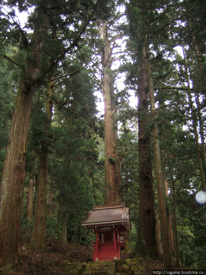 Храмовый комплекс Муродзи (Murō-ji) и его окрестности Уда, Япония