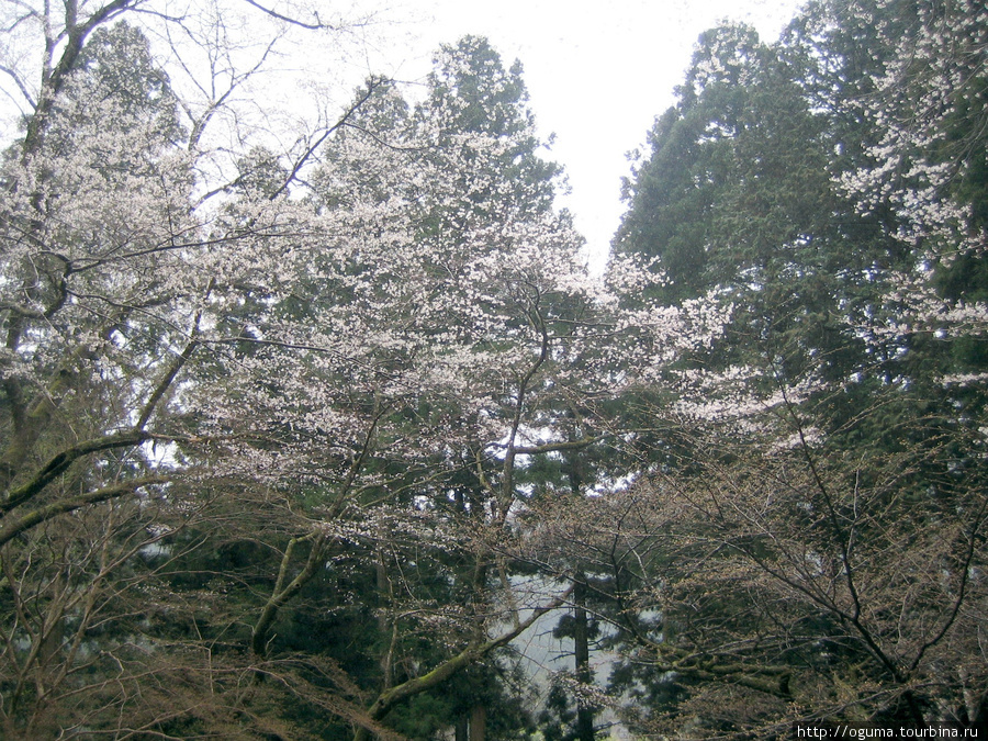 Храмовый комплекс Муродзи (Murō-ji) и его окрестности Уда, Япония