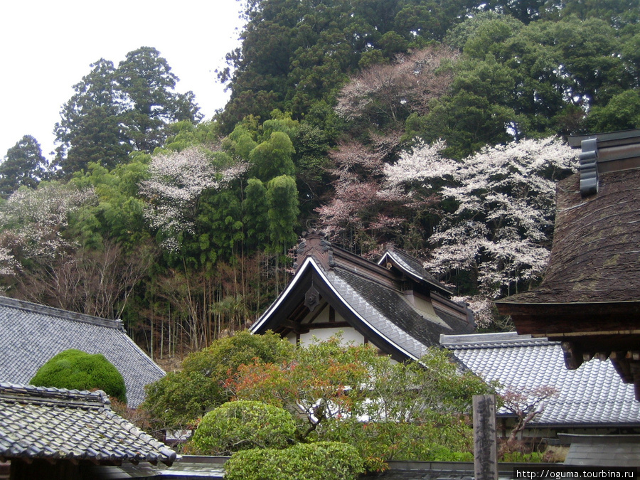 Храмовый комплекс Муродзи (Murō-ji) и его окрестности Уда, Япония