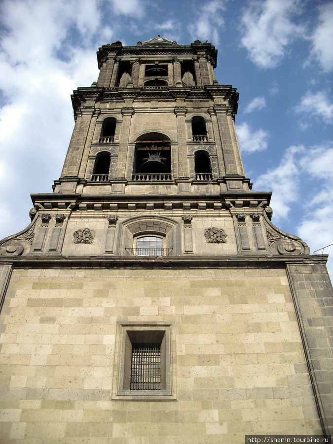 8 мая у кафедрального собора Мехико, Мексика