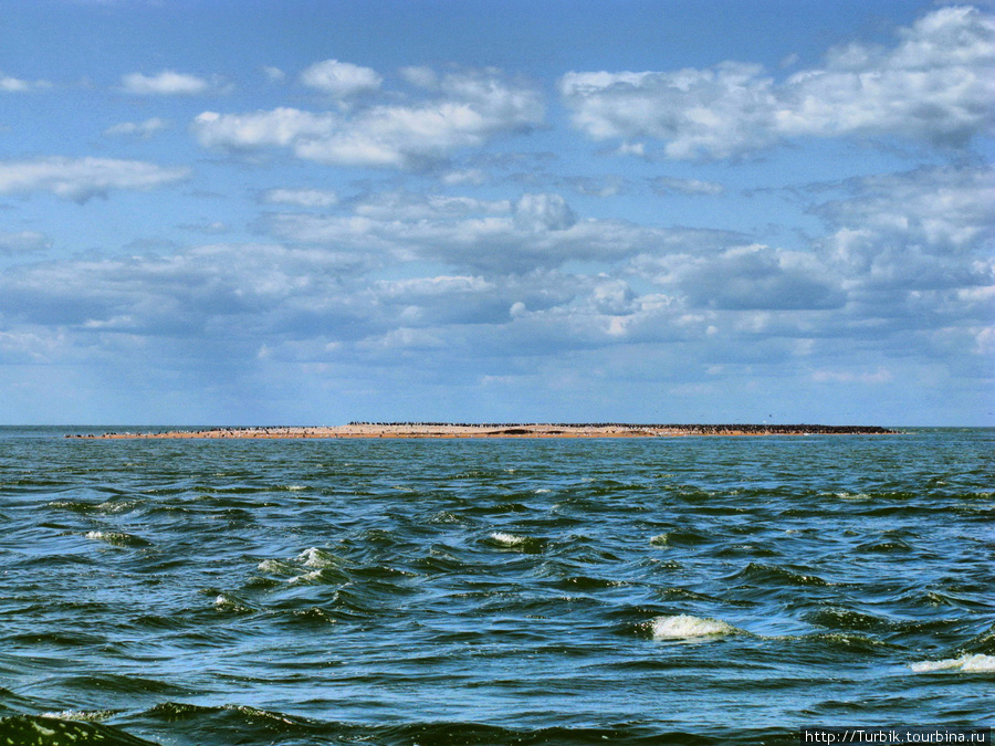 ещё один баклановый остров Краснодарский край, Россия
