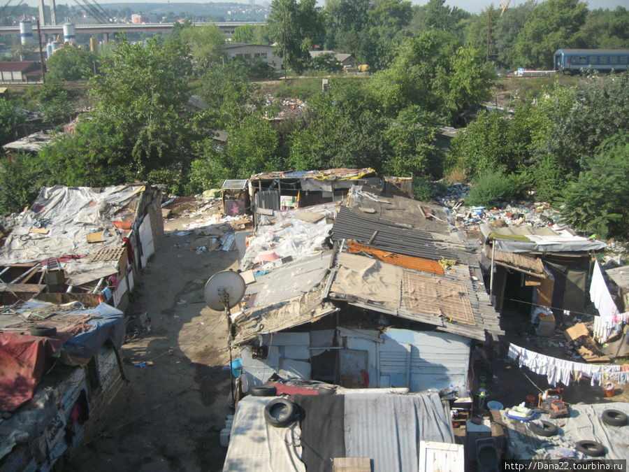 Самопоселение цыган-беженцев под мостом Белград, Сербия