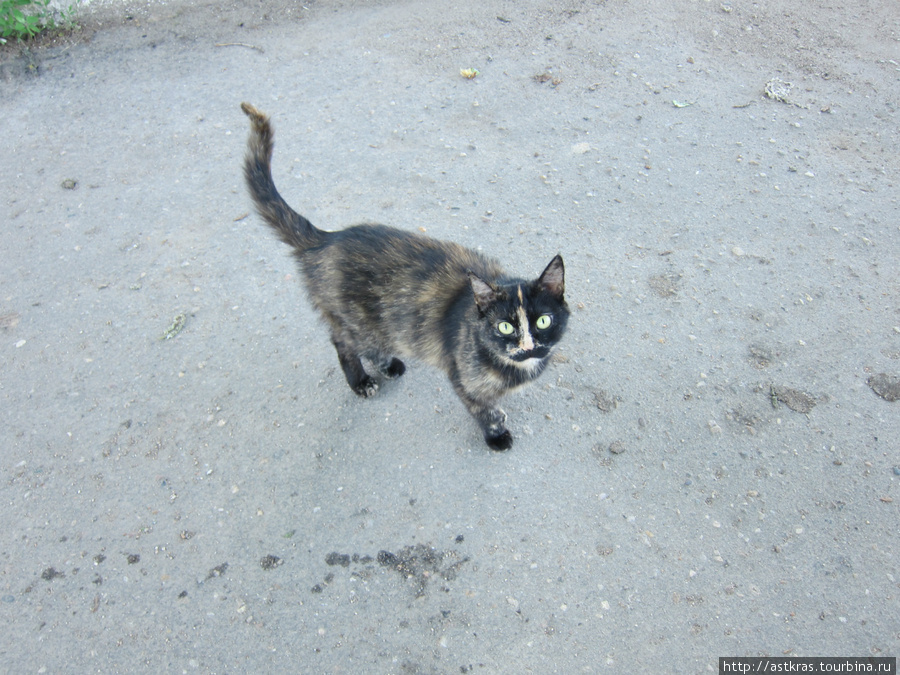 Можайск (2011.05). Прогулка по городу и по Можайскому Кремлю Можайск, Россия