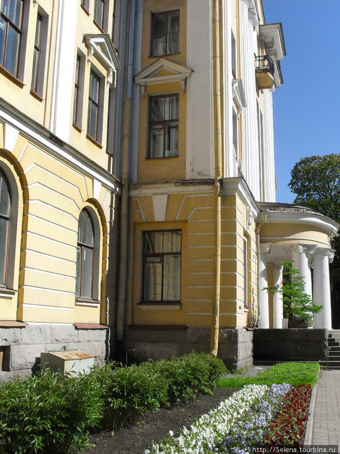 Цветение в полном разгаре Санкт-Петербург, Россия