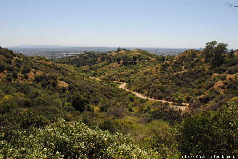 Ближайшие окрестные холмы — это парк, где можно побегать или просто погулять Лос-Анжелес, CША