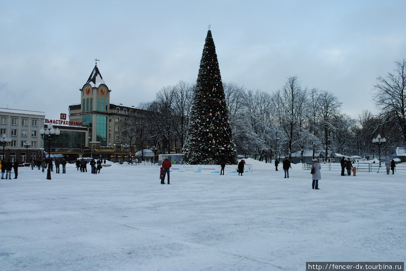 Главная елка города Калининград, Россия