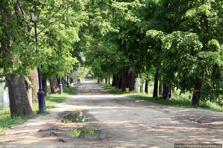 Прогулка по Несвижу Несвиж, Беларусь
