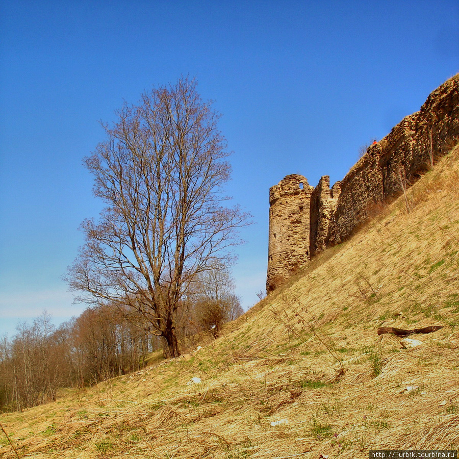 Наугольная башня и часть стены, сохранившаяся с 1297 г. Копорье, Россия