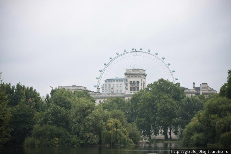 Колесо видно из многих точек города, в том числе и из St.James парка. Лондон, Великобритания