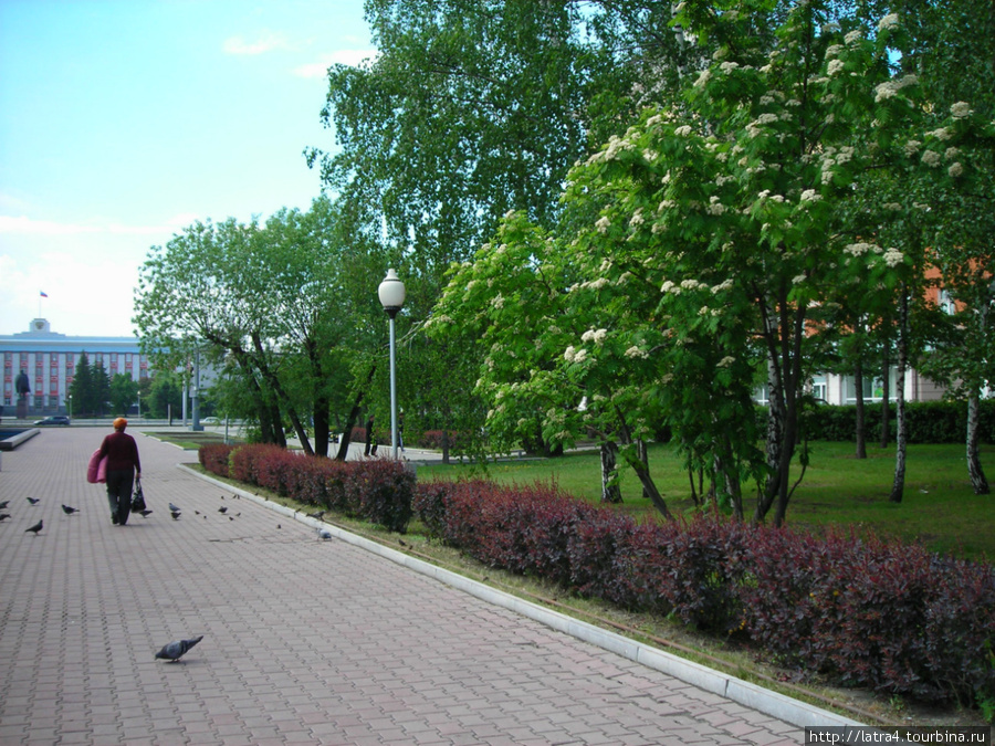 Прогулки по родному городу Барнаул, Россия