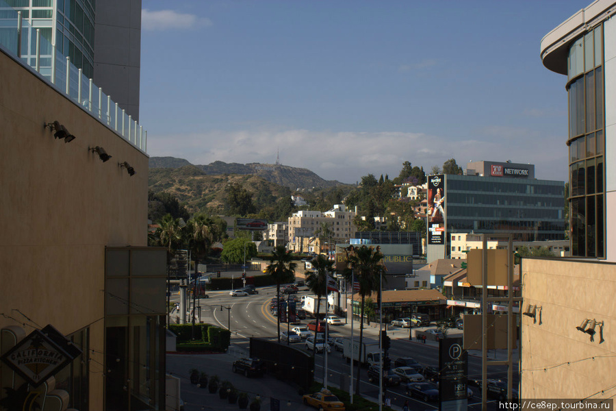 Под вышкой вдалеке видна надпись Hollywood Лос-Анжелес, CША