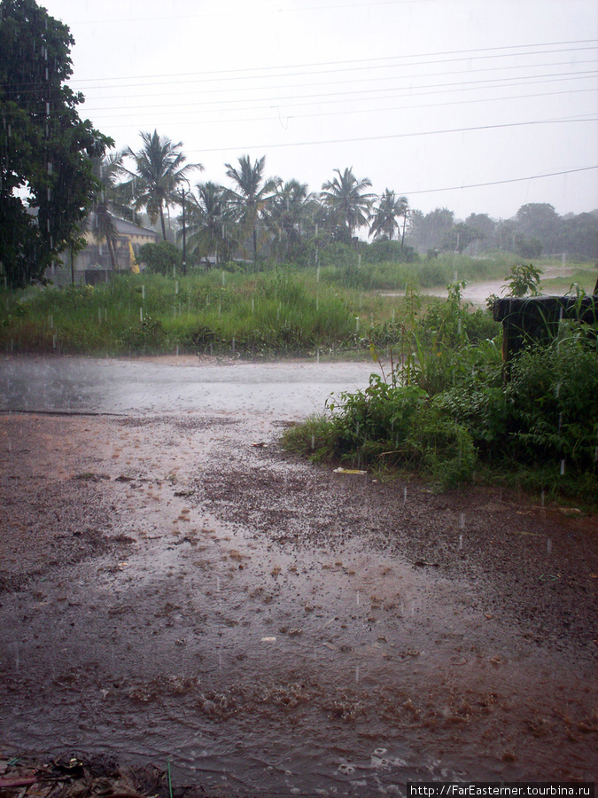 Гоанский муссон Штат Гоа, Индия