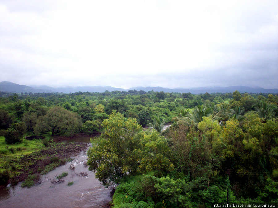 Сельские пейзажи в Гоа Штат Гоа, Индия