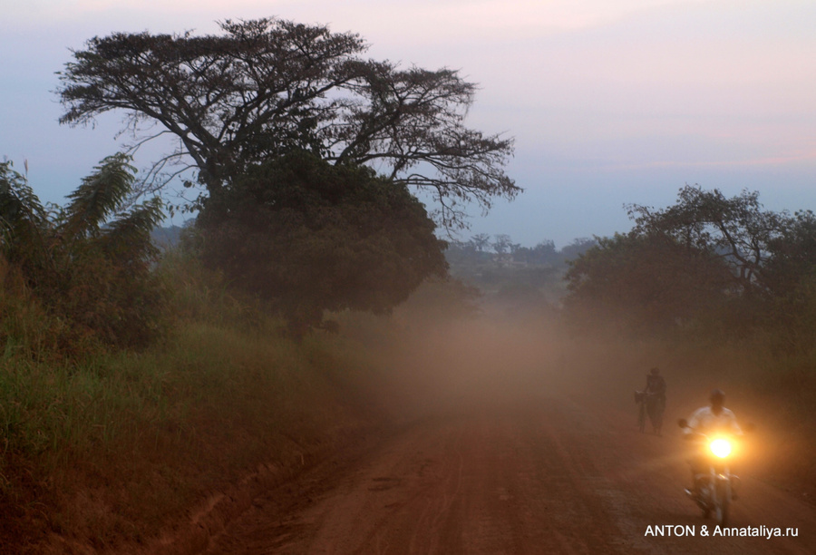 Дорога в парке Мёрчисон-Фоллс Национальный Парк, Уганда