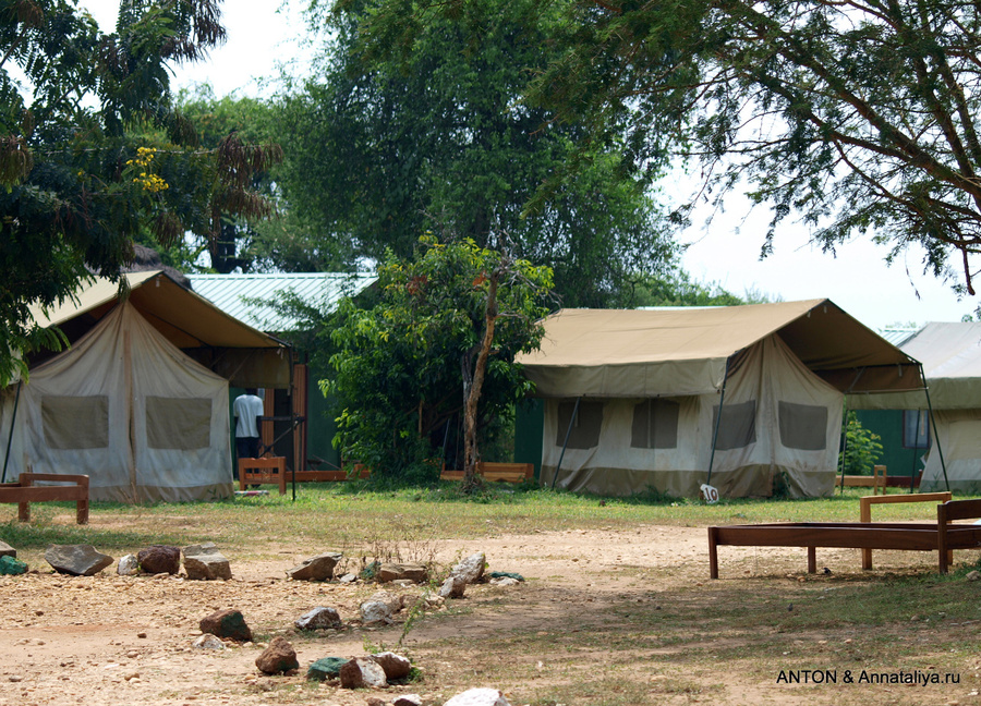 Кемпинг Ред Чили. Жить можно в палатках. Мёрчисон-Фоллс Национальный Парк, Уганда