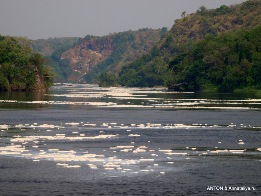 Пена на Ниле появляется из-за водопада Мёрчисон, вода которого падает вниз с огромной силой и именно так образует пену Мёрчисон-Фоллс Национальный Парк, Уганда