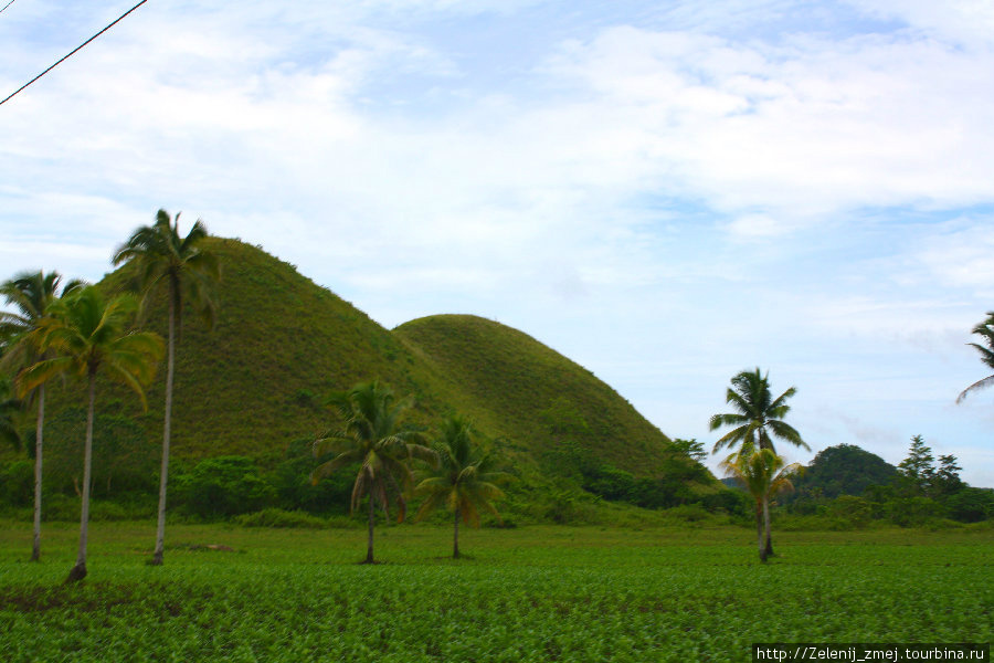 Остров Бохол: самое интересное Остров Бохол, Филиппины