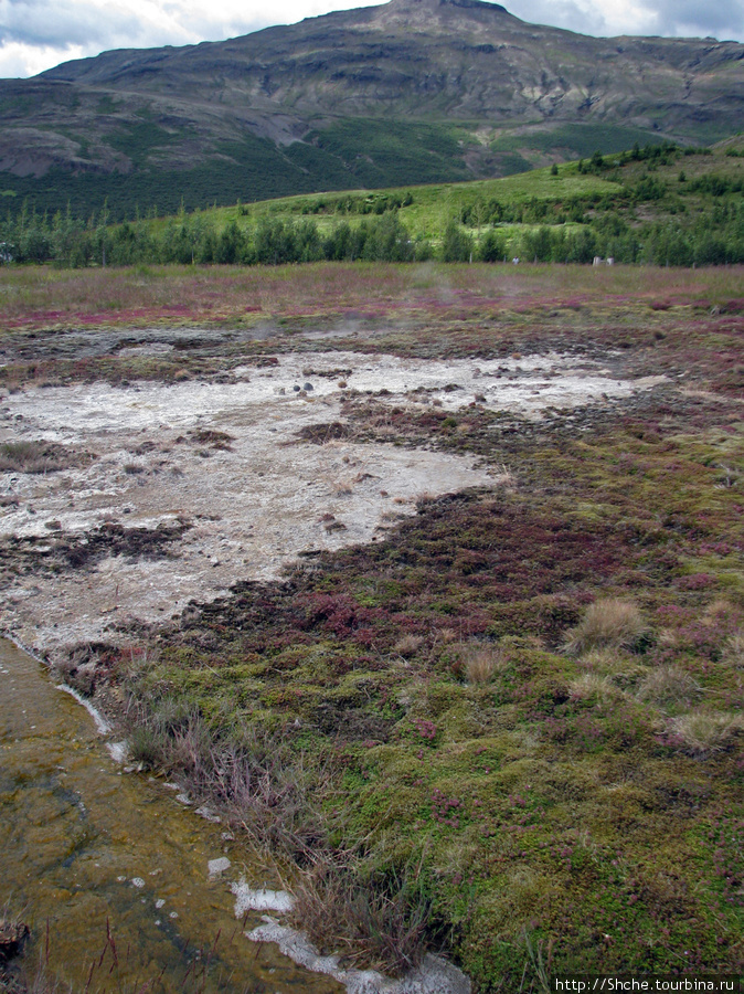 Долина встречает горячими реками и маленькими гейзерами-яйцеварками Южная Исландия, Исландия