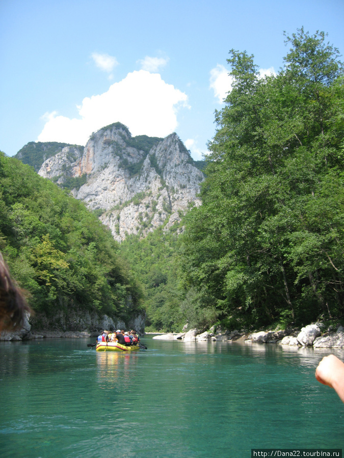 Рафтинг на реке Тара Черногория