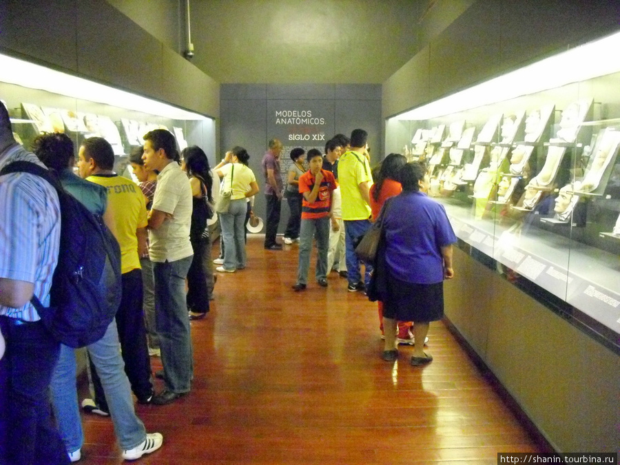 В Музее медицины в Мехико, в зале венерических заболеваний Мехико, Мексика