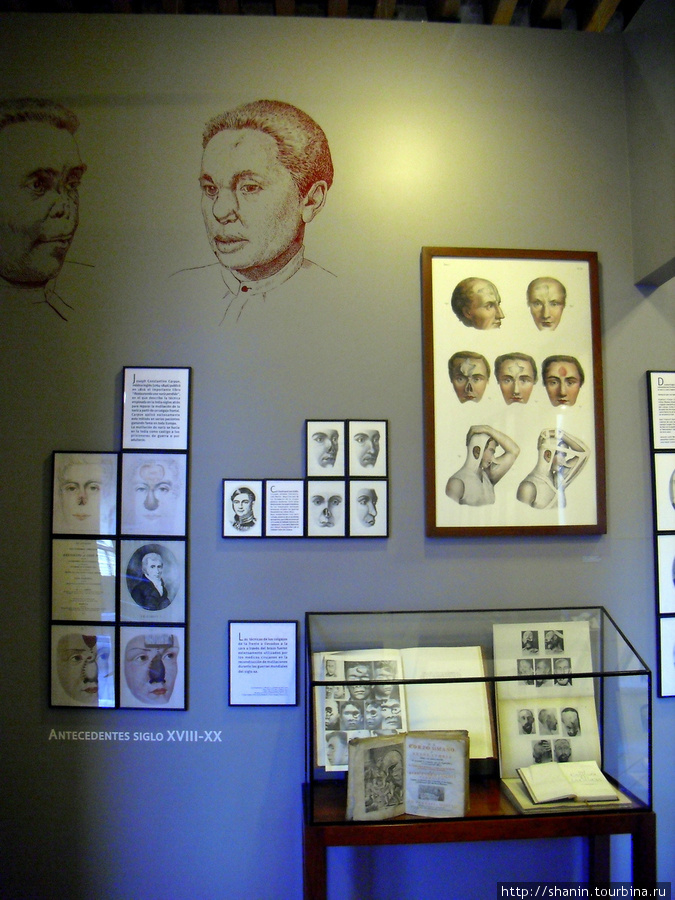 В Музее медицины в Мехико Мехико, Мексика